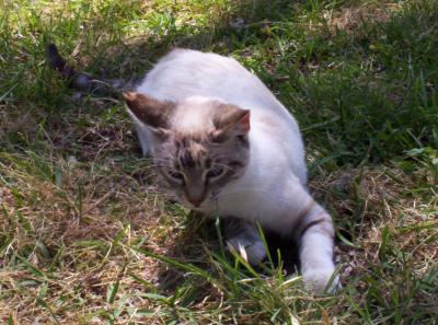 Picture_0227.JPG