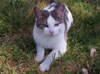 Picture_0245.JPG