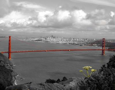 Golden Gate1816BW.jpg