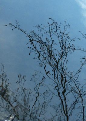 PICT2551w.jpg