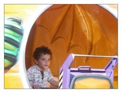 Waltham Carnival