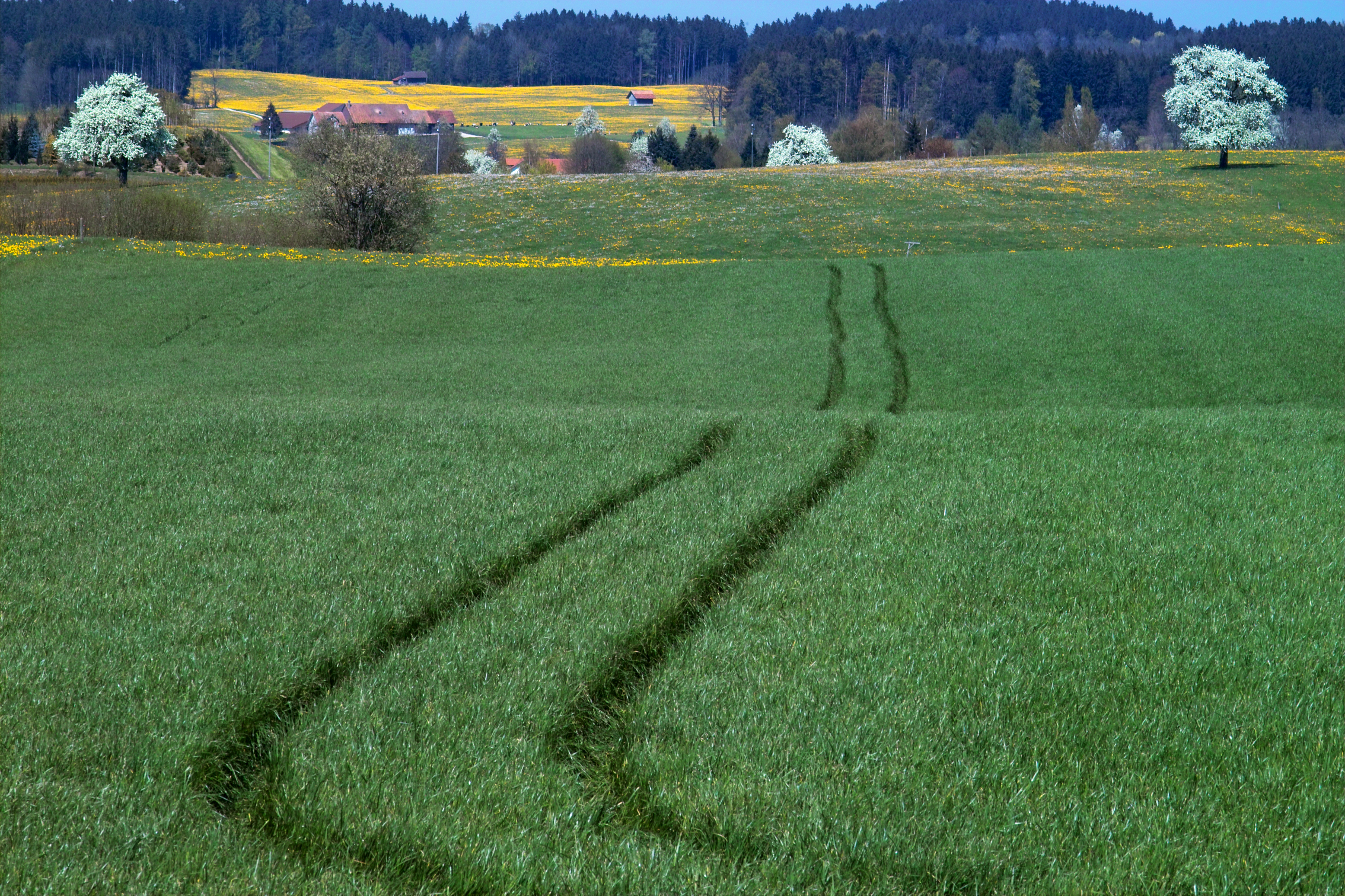 Field Tracks