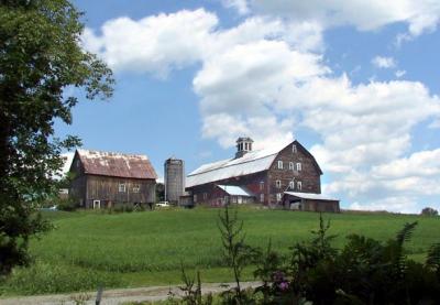 barn 11333.jpg