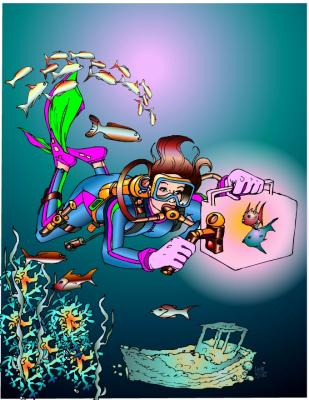 Comp:Miami Herald 3