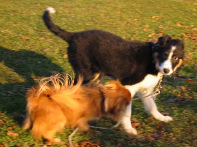 Emma and Skye