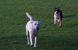 Your too slow to catch me!!