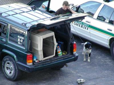 Bomb snifing dog prepares to go to work at Port Everglades.