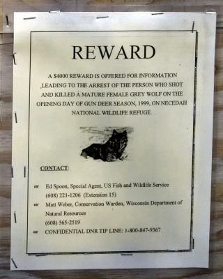 Wolf Reward