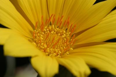 10D 100mm 2.8 macro 2