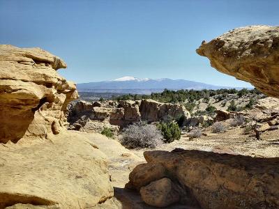 New Mexico