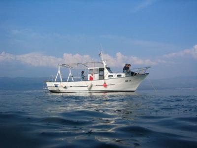 IMG_0339.JPG