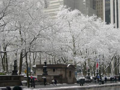 Bryant Park covered in snow