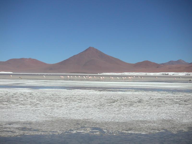 Laguna Colorada