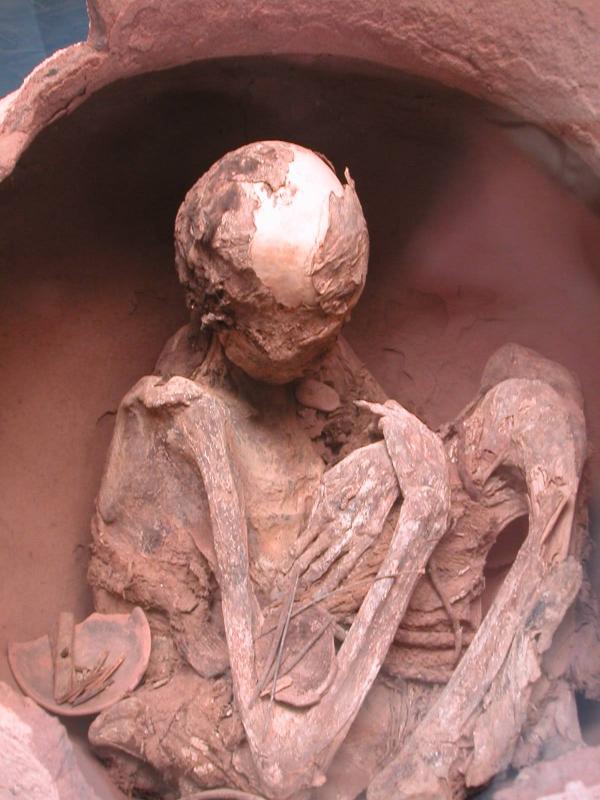 Mummified remains