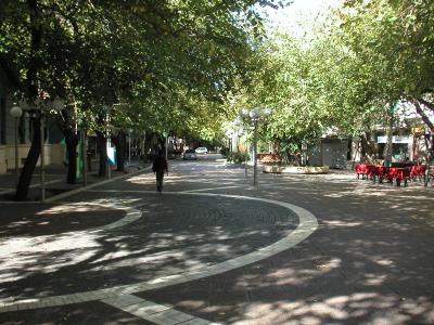 Treelined streets