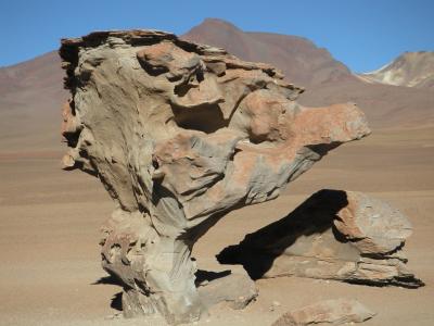 Southwest Altiplano
