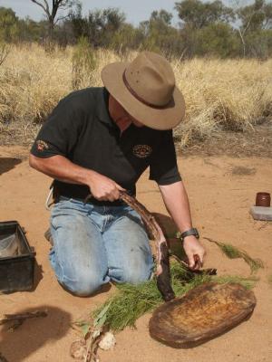 Carving Kangaroo Tail.jpg