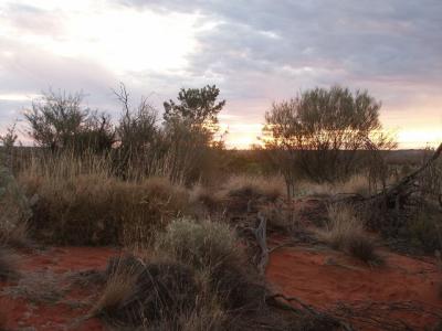 Sunset Near Uluru Bush.jpg