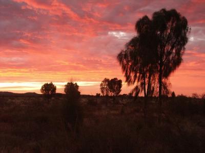 Sunset Near Uluru.jpg