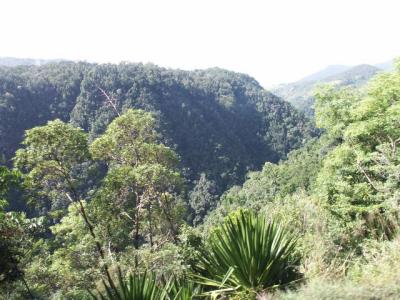 Further up the Mountian.jpg