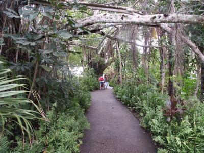 Walk Up the Path to Karunda Village.jpg