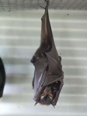 This Picture is NOT upside down.jpg