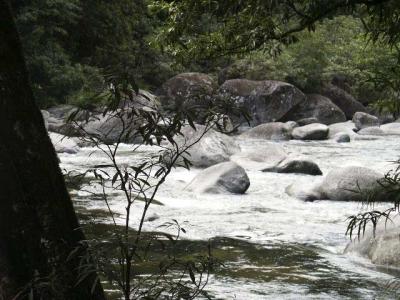 Wild Mossman Gorge.jpg
