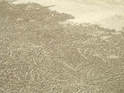 Patterns in the Sand.jpg
