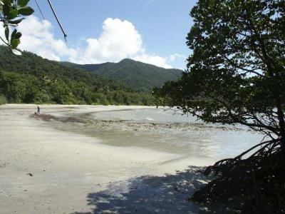 u27/mscottc/medium/16525084.E15TheBeachatCapeTribulation.jpg