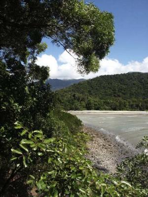u27/mscottc/medium/16525085.E16MoreoftheBeachatCapeTribulation.jpg