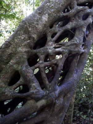 A Closeup of the prior.jpg