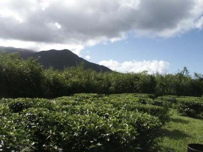 Clouds over the Mountians.jpg