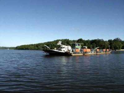 The Ferry Across the Daintree River.jpg