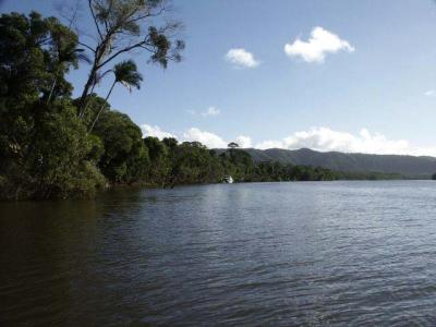 Looking Down the River.jpg