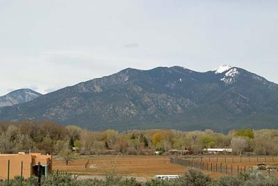view from am artists.jpg