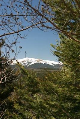 IMG_7537.jpg
