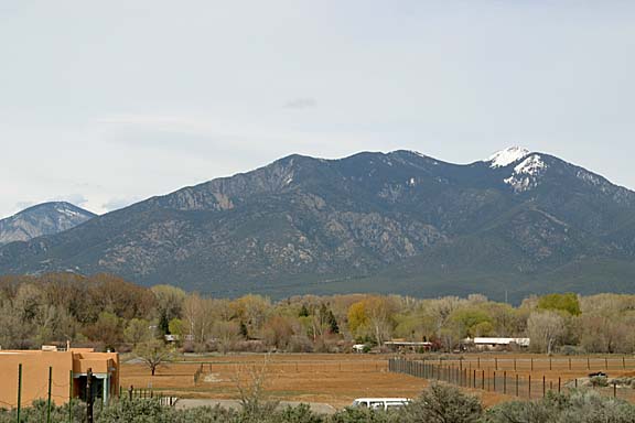view from am artists.jpg