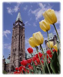 May is always the tulip festival in Ottawa.
Unfortunately they weren't out for our visit.  To many late snowfalls this winter.