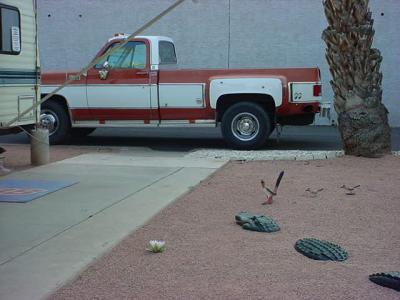 rick's truck resting