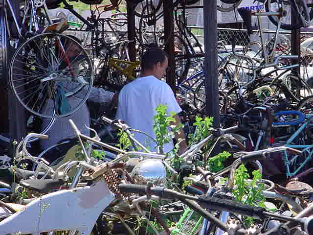 customer at all bikes in Rye Arizona