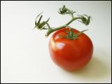 The Last Tomato