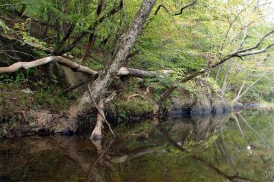 CRW_0268.jpg