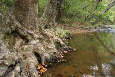 CRW_0275.jpg
