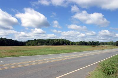 CRW_0298.jpg