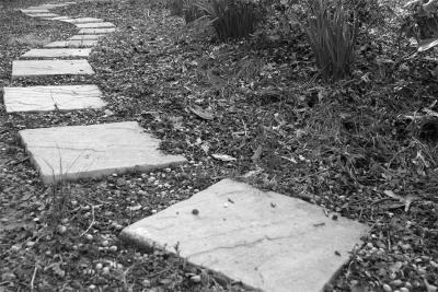 CRW_0488.jpg
