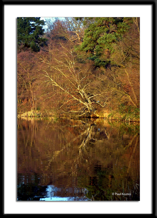 VW-Reflection2.jpg