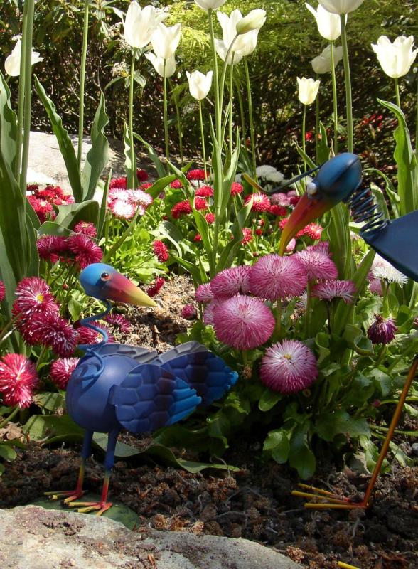 P5100028b.jpg