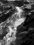 P5100044a_bw.jpg
