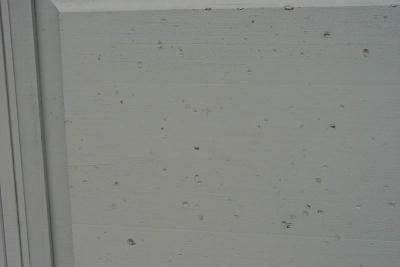 The Day After - Garage Door Damaged