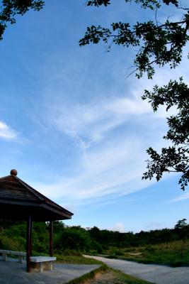 CRW_4708.jpg